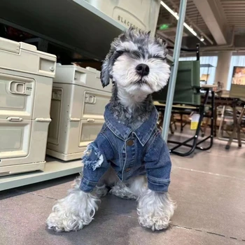 Köpek Giyim İlkbahar Sonbahar Denim Ceket Schneider Frise Teddy Shiba Pet Moda Giysileri Gömlek